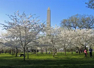 KRIZE SKONČILA: TURISMU VE WASHINGTONU SE DAŘÍ