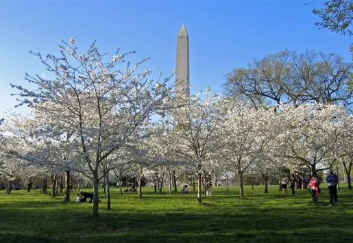 KRIZE SKONČILA: TURISMU VE WASHINGTONU SE DAŘÍ